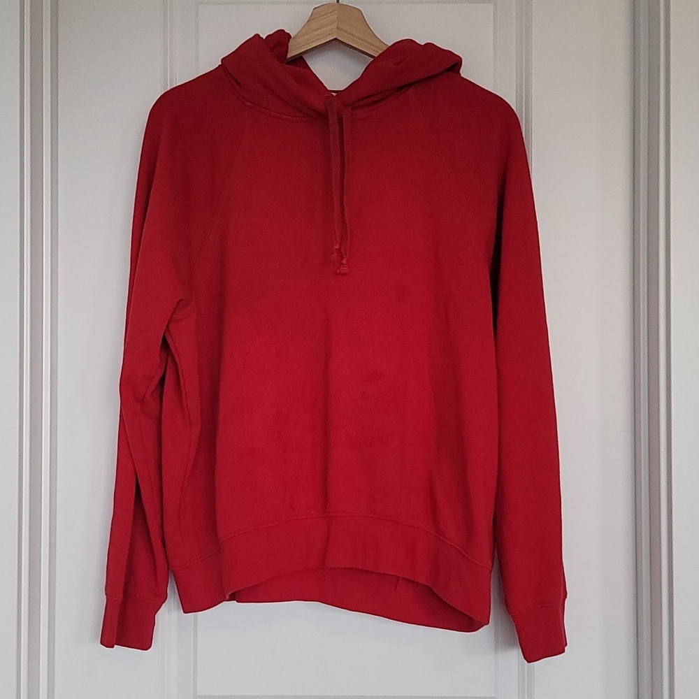 ARITZIA Wilfred Free Hoodie